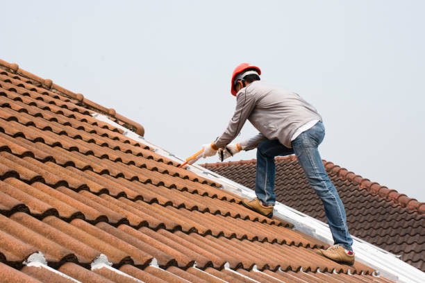 Best Metal Roofing Installation  in Beltsville, MD